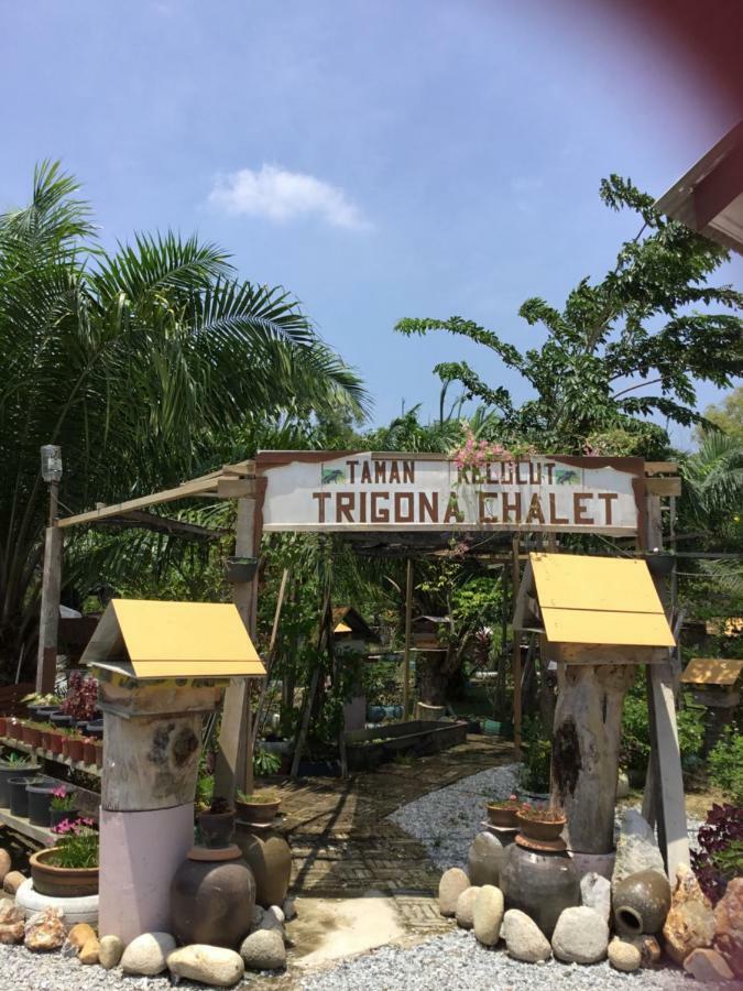 Trigona Chalet Hotell Marang Exteriör bild